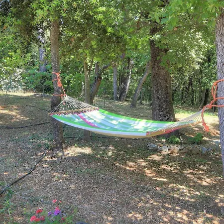 Bois Dore * Valbonne